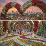 Wisata Dubai Miracle Garden